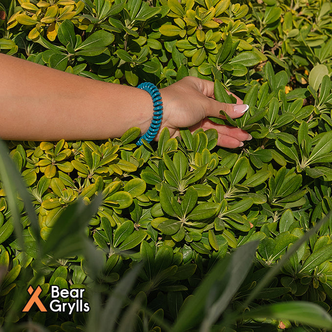 Coil Mosquito Repellent Bracelets (Family Box of x10)